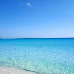 Meet your Posher, Beatriz